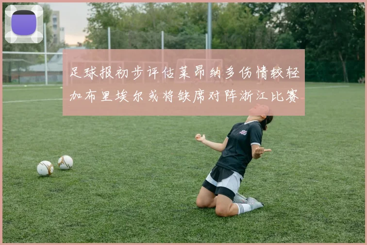 足球报初步评估莱昂纳多伤情较轻加布里埃尔或将缺席对阵浙江比赛